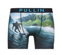 Caleçons hommes Pullin FASHION 2 Multicolore EU L