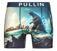 Caleçons hommes Pullin FASHION 2 Multicolore EU S
