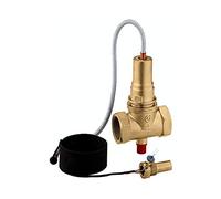 Caleffi 541060 Val.INT.Comb.100C 1" 5 m, Unique