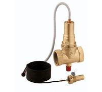 Caleffi 541080 VAL.INT.COMB.100C 11/2 5 m