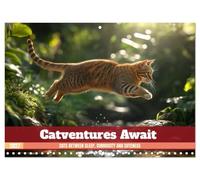 Calendar 2027 · Aventures de chats en perspective | La vie du chat entre mignonnerie, curiosité et paresse · 16.5" x 23.4" Open Size · CALVENDO Wall Calendar