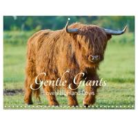 Calendar 2027 · Gentle Giants Lovely Highland Cows | Gentle, good-natured, and incredibly cuddly · Experience the year with… · 16.5" x 23.4" Open Size · CALVENDO Wall Calendar