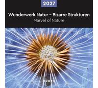 Calendario da muro 30x30 cm marvel of nature 2027