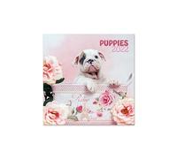 Calendrier 2022 30X30 Chantrenne Chien