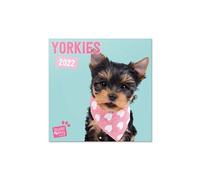 Calendrier 2022 30X30 Studio Pets Yorkie