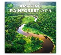 Calendrier 2024-2025, calendrier mural de forêts tropicales, calendrier mensuel, calendrier à suspendre de septembre 2024 à décembre 2025, 30,5 x 30,5 cm.