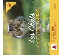 Calendrier 2024 - Chats - Collectif - Metive - broché - Calendrier