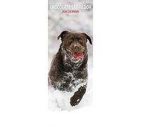 Calendrier 2024 fin au chocolat du Labrador