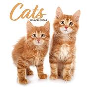 Calendrier 2024 moderne Cat