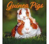 Calendrier 2024 traditionnel cochon d'Inde