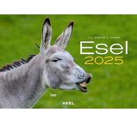Calendrier 2025 au motif d'âne : le calendrier mural avec les noms charmants