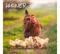 Calendrier 2025 avec brochures et dates de vacances Format 30 x 30 cm