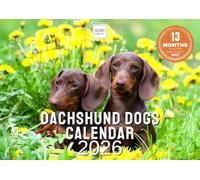 Calendrier 2025 avec espace pour les notes sur 13 mois. Magnifiques images de teckels et de chiots. Calendrier 2025 recyclable imprimé au Royaume-Uni par Ruby Ashley®