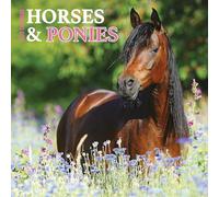Calendrier 2025 Chevaux et poneys