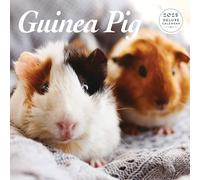 Calendrier 2025 Deluxe Cochon d'Inde