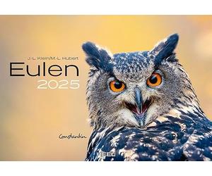 Calendrier 2025 hiboux : le calendrier animal avec les noms charmants. calendrier mural calendrier oiseau