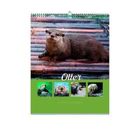 Calendrier 2026 12 Mois | Calendrier Mural Animaux Drôles et Organisateur 2026 | Planificateur Mensuel Papier Épais Déco Maison pour Adultes Enseignants École Domicile Salle de Classe