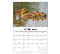 Calendrier 2026-2027 - Planificateur mural sur le thème de Capybara, tableau anti-bavure d'encre avec dates, bloc-notes de 13 mois avec poignée, style d'affichage domestique, tableau de planification