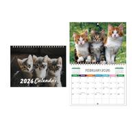Calendrier 2026 | Agenda Mural Drôle avec Chats 2026,Planificateur 12 Mois Papier Épais Fournitures Scolaires Pour Organisation Et Planification Bureau Chambre Salon Cuisine Appartement Hôtel