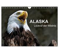 Calendrier 2026 · Alaska - l'appel de la nature sauvage