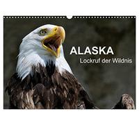Calendrier 2026 · Alaska - l'appel de la nature sauvage