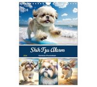 Calendrier 2026 · Alerte au shih tzu. Des têtes blondes heureuses