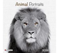 Calendrier 2026 Animal noir et blanc herisson loup panda (TS) + offert un agenda de poche