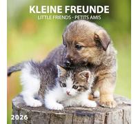Calendrier 2026 Animaux amis chat et chien AVEC MAXI POSTER 30X60cm (tsh ap) + offert un agenda de poche