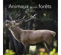 Calendrier 2026 - Animaux de nos forêts - Collectif - Place Des Victoires Eds - broché - Calendrier