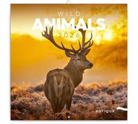 Calendrier 2026 Animaux sauvages d'Afrique Lion - format 30x60cm ouvert (ps) + offert un agenda de poche