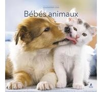 Calendrier 2026 - Bébés Animaux