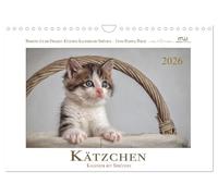 Calendrier 2026 · Calendrier des chatons avec des dictons