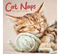 Calendrier 2026 Cat Naps