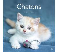 Calendrier 2026 - Chatons