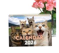 Calendrier 2026 chats | Outil de planification sur 12 mois, calendrier à suspendre en forme d'animal | Pour l'école, le salon, la chambre à coucher, l'étude, la salle de classe, le bureau, les