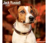 CALENDRIER 2026 CHIEN JACK RUSSELL TERRIER (sg) + offert un agenda de poche 2026