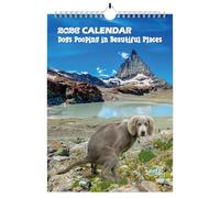 Calendrier 2026 Chiens Faisant dans de Beaux Endroits, Calendrier Drôle de Chiens Faisant Cadeaux Idiots, Idées Cadeaux Grossiers de Noël Anniversaire Père Noël Secret Planificateur Mensuel