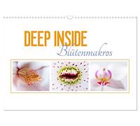 Calendrier 2026 · DEEP INSIDE - Macros de fleurs