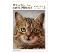 Calendrier 2026 · Des chatons sauvages, des petites pattes douces