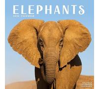Calendrier 2026 Elephant Afrique (AV) elephant + offert un agenda de poche