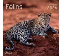 CALENDRIER 2026 Félins Tigre Lion Panthère (los) + offert un agenda de poche 2026