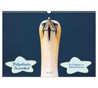 Calendrier 2026 · Fous de Bassan de Helgoland 2026