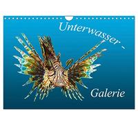 Calendrier 2026 · Galerie sous-marine