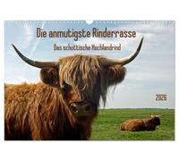 Calendrier 2026 · La plus gracieuse des races bovines