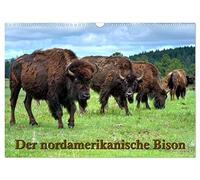 Calendrier 2026 · Le bison d'Amérique du Nord
