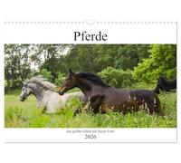 Calendrier 2026 · Les chevaux, le plus grand bonheur sur cette terre
