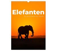Calendrier 2026 · Les éléphants - les conquérants du cœur du monde animal