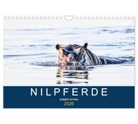 Calendrier 2026 · Les hippopotames, des colosses en Afrique
