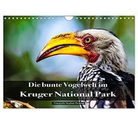 Calendrier 2026 · Les oiseaux multicolores du parc national Kruger