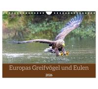 Calendrier 2026 · Les rapaces et les chouettes d'Europe